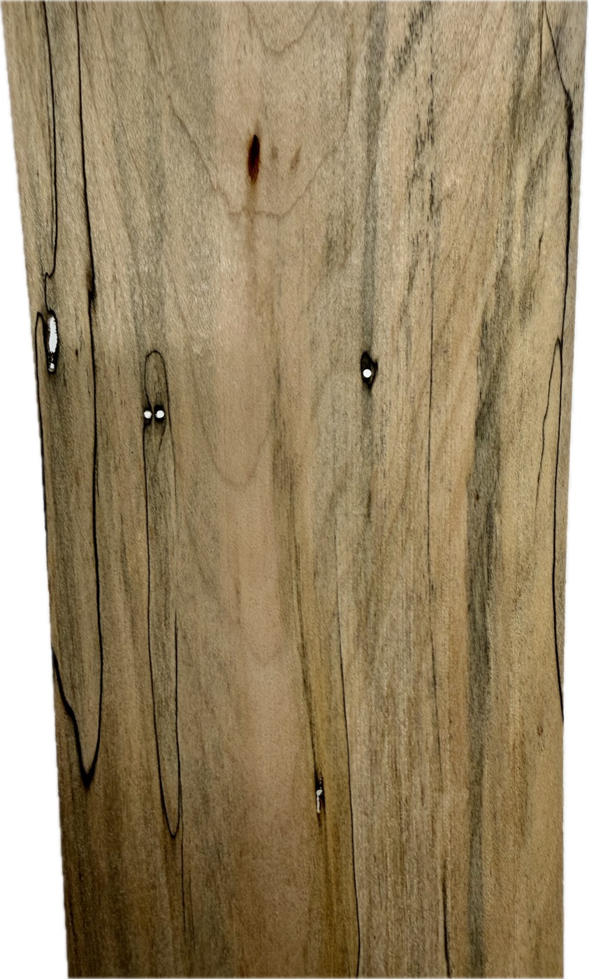 Wood veneer sheet rejected for worm holes