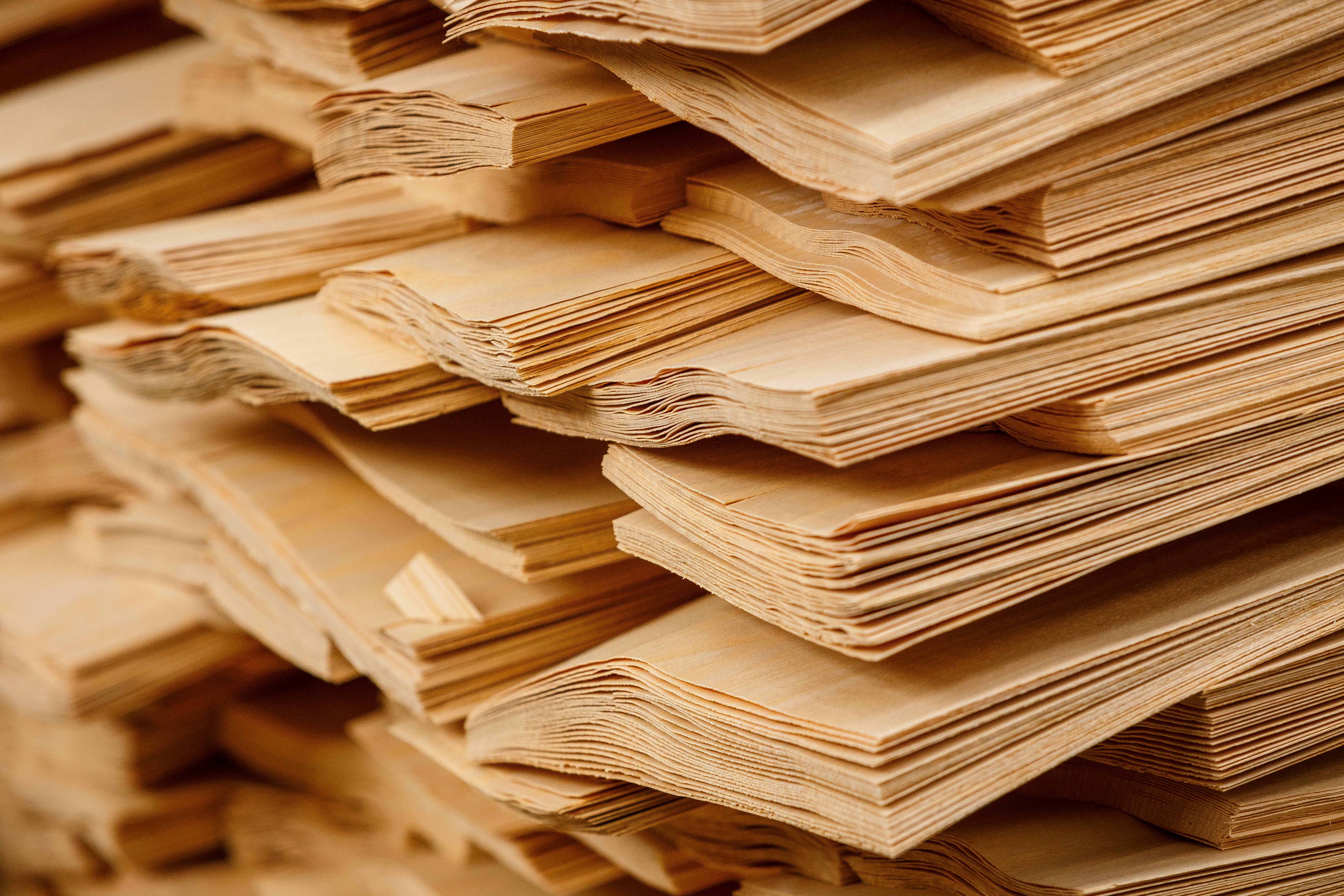 Model & Ship Building veneer use case