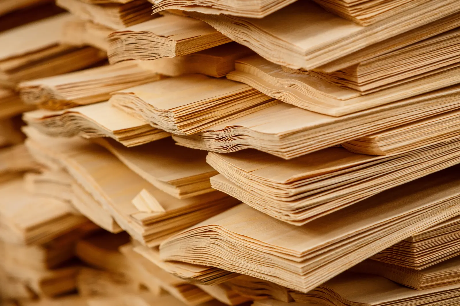 Stacks of thin raw wood veneer sheets